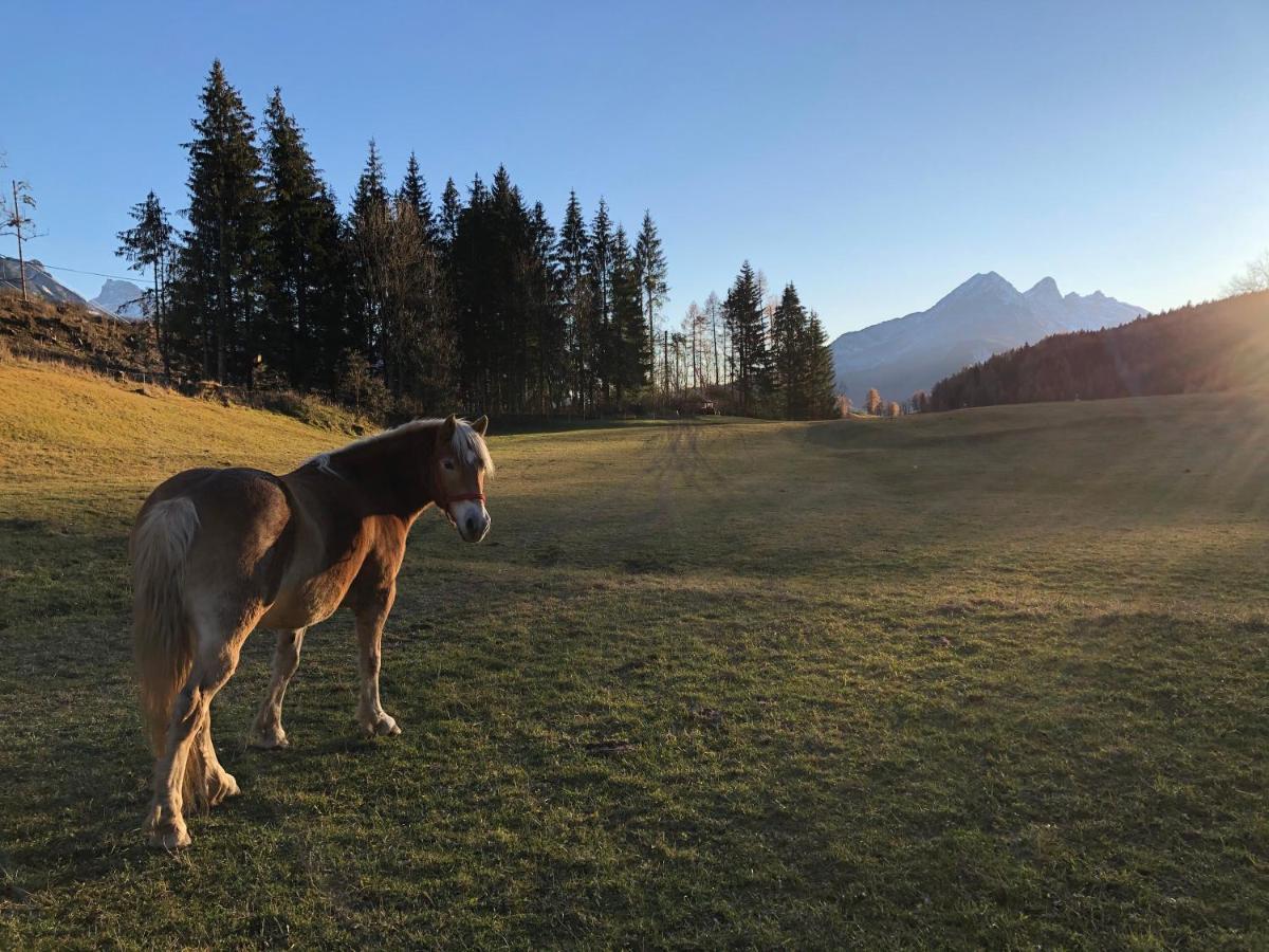 Apartamento Orizzonti Montani Pieve di Cadore Exterior foto