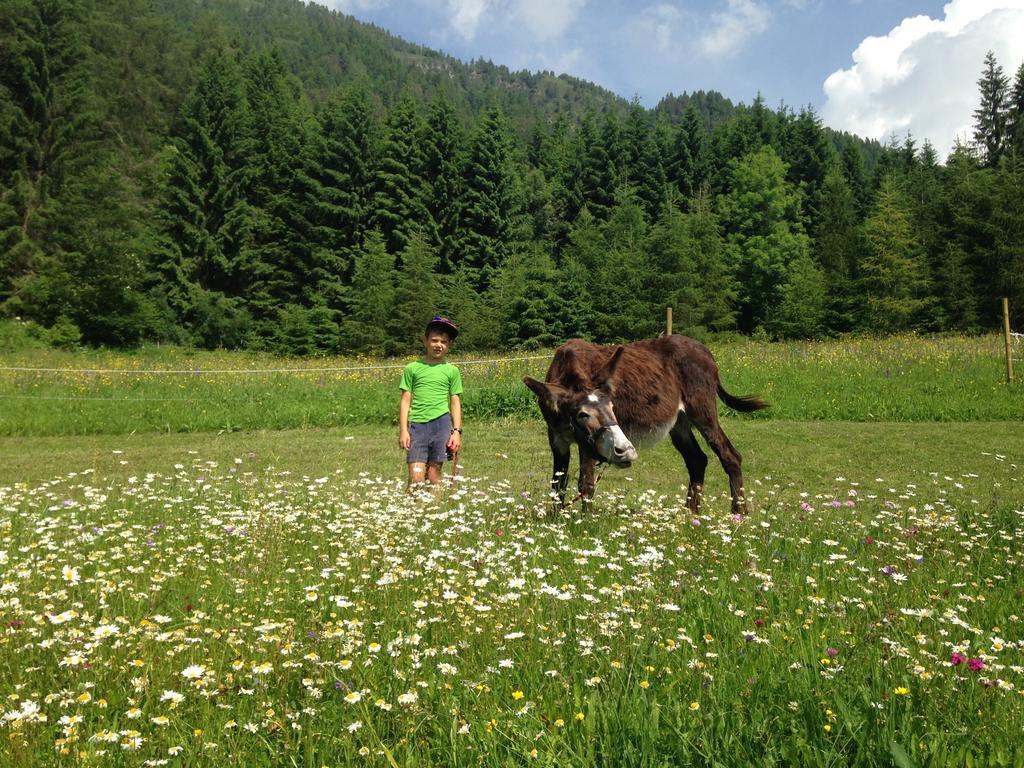 Apartamento Orizzonti Montani Pieve di Cadore Exterior foto